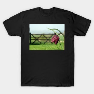 The Leper Lily T-Shirt